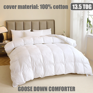 cod135x200/200x200/220x220/220x260cm White King Super King Thick Goose Down Duvet Comforter