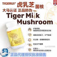 Tiger Milk 虎乳芝 胶囊 60 pcs Tiger Milk Mushroom KKM Halal Cendawan Susu  Tigerus balang raya SUNLIN