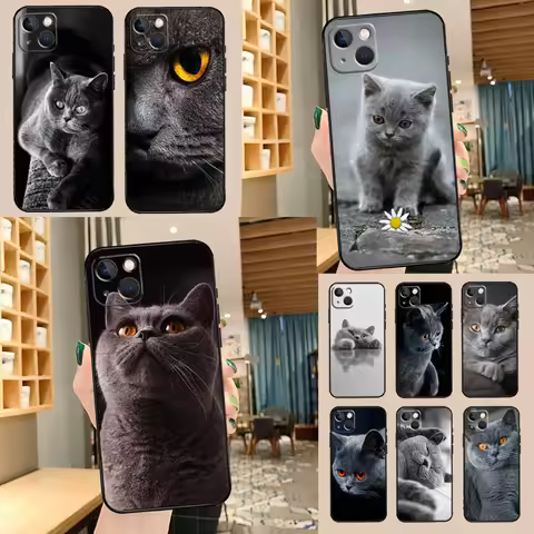 Beautiful Grey British Shorthair Cat For Huawei Nova Y73 Y60 Y70 Y90 Y72 Y61 Y91 7i 8i 11i 12i 12s 9