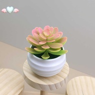 Artificial Succulents Plants in Pots Small Fake Plants for Bedroom Living Room Office Shelf Bathroom