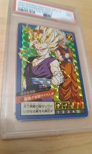 龍珠閃咭 激鬥6 悟空悟飯父子 冠軍分 PSA 9分 非暗閃 隱閃 閃卡 完美主義者勿擾