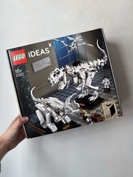 Lego 21320