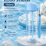 Tupperware H2Go 750ml Bottle With Straw Original