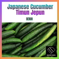 Benih Timun Jepun Japanese Cucumber
