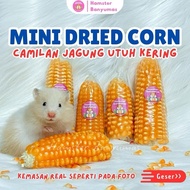 Mini Dried Corn Chew Toy Whole Corn/ for Hamster Bites