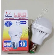 5 Watt LED Bulb