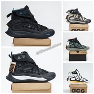 Acg terra Antarctica GTX men's hiking Shoes