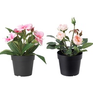 IKEAA FEJKA Artificial Plastic Flower Plant Pink Rose / Balsam Pink , Pokok Hiasan Plastik