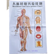 Big Foot Chart Foot Massage Reflex Area Wall Chart Acupoint Chart Whole Body Hand Foot Ear Head Fron