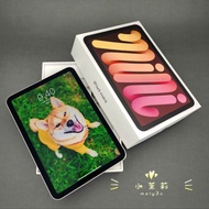 【高雄現貨】iPad mini 6 5G 256G 粉 8.3吋 可插卡 mini6 LTE 256Gb