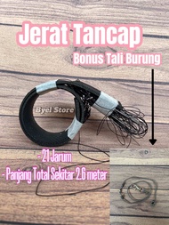 Jebakan Jerat racik model Tancap 21 mata tekukur perkutut merpati punai ruak ruak