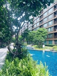 บ้านเดี่ยว 1 ห้องนอน 1 ห้องน้ำส่วนตัว ขนาด  ตร.ม. – กะทู้ (Dcondo creek 79 Modern chic condo)