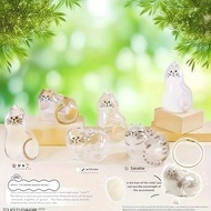 1 Piece Transparent Cat Souvenir Capsule - Cute Little Face Design, Cat Shape Sealed Pet Hair Storag