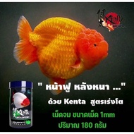 Kenta GoldFish Food อาหารปลาทอง Kenta สูตรขับลม ลดปัญหาท้องอืดเสียการทรงตัว