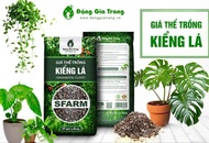Giá thể kiểng lá Sfarm 17 lít (6kg)