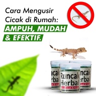 [ BISA COD ] racun cicak & kecoa (racun herbal) ASLI