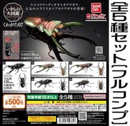 ★威昱轉蛋★ 現貨__2024年1月_BANDAI _生物大圖鑑-鍬形蟲篇07- 整套販售（全5種）__現貨價