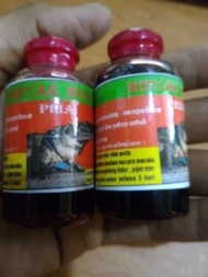 pembesar Mr. P / minyak BUAYA - original asli papua  