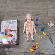 preloved human body model