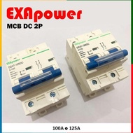 MCB DC 2P 100A