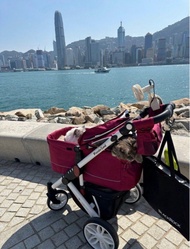 Piccolo Cane Tanto II 寵物手推車