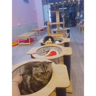 Beautiful hammock for cats combined with scratching post