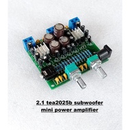 Modul 2.1 TEA2025b Mini Power Amplifier