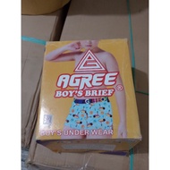 Agree Boys Brief Children's Boxer