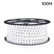 Nataku ไฟสายยาง 100 เมตร ไฟสายยางท่อแบน ไฟเส้น ไฟสายยาง ไฟประดับตกแต่ง ไฟ led ดัดงอได้ กันน้ำ ใช้งาน