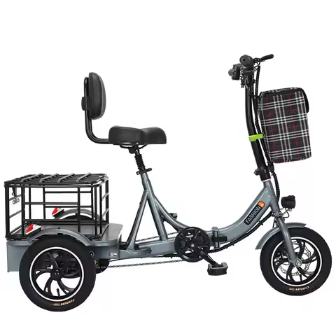 Wholesale Price 350W 48V Cargo E Bike Adult Tricycle Electric Bike 3 Wheel Electric Tricycle