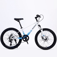 22 magnesium alloy mountain bike big children adult mountain bike wholesale double disc brake bicycle bicycle