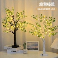 Others - LED發光樹 家居裝飾燈 節日派對小夜燈 室內佈置-白帶葉 / 電池USB兩用