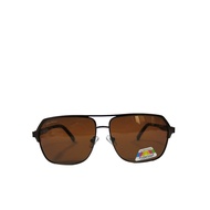 Ballin Men's Sunglasses Gaillardia Zest Polarized Sunglasses XP-SG10148018 Zest Men - Chocolate