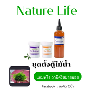 🔹Nature Life🔹ชุดตั้งตู้ไม้น้ำ แบคทีเรียชนิดน้ำ แบคทีเรียรองพื้น ปุ๋ยรองพื้น