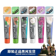 [2 Pcs] Imported biomed Plant Extract Toothpaste Stain Remover biomed Coconut Mint 100g12Y