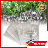 100pcs Pembungkus Buah Brongsong Buah Fruit Bag Fruit Cover Transparan Waterproof Anggur, Kelengkeng