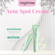 READY Glad2Glow 2% Salicylic Acid Overnight Acne Spot Cream Treatment 5g with Centella | Acne Spot A