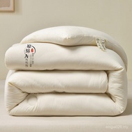 Winter Quilt Quilt New Style 2025A Spring Autumn Quilt Dormitory Antibacterial Thickened Student Bed