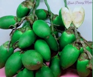 buah pinang muda 1 kg segar