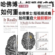 特惠捡漏 特惠捡漏 重启大脑前额叶大脑可塑性前额叶训练重建专注力脑科学知识贴纸 Special offer, bargain find: Brain reboot, frontal lobe, bra