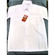 Baju Kemeja Putih Sekolah Lelaki Kain Cotton premium❤️全棉校服白