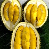 BUAH DURIAN MUSANG KING ASLI MALAYSIA SUPER JUMBO UTUH