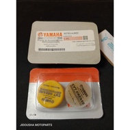 JDS CVT Grease Yamaha motor