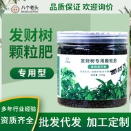 Fortune Tree Dedicated Slow-Release Fertilizer Flower Planting Flower Fertilizer Plant Potted Flower