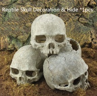 Fish Reptile Tank Aquarium Resin Head Skull 人头骨 Hiding Decoration(14*11*10cm)