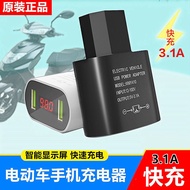 Electric Car Mobile Phone Charger usb Converter Plug 12v48v60v72V 100V Universal Car Charger