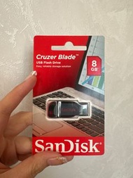 SanDisk 8GB USB