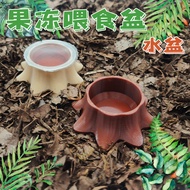 Climb Pet Water Basin Beetle Hermit Crab Jelly Table Base Stag Beetle Stag Beetle Unicorn Insect Sim