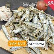 Ikan Bilis Kembung 5A (1KG/500G/300G) | Anak Ikan Kembung Kering 100% Fresh | Ikan Temenung  Masak Sambal - The Fisherman