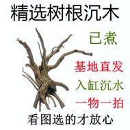 Root Driftwood Landscaping Decoration Fish Tank Aquatic Plant Tank Matching Azalea Root Already Soak